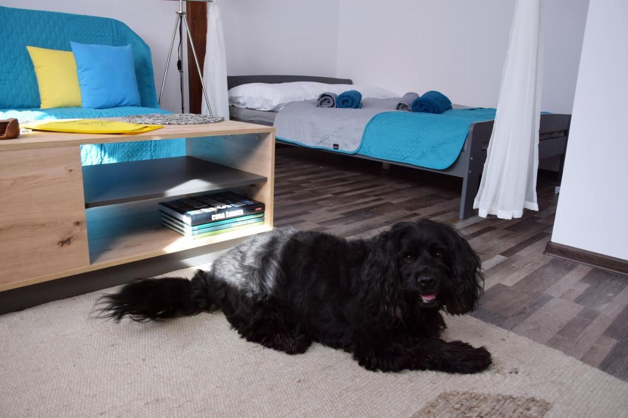 Apartament Gornicza W Kowarach Kowary Eksteriør billede